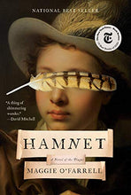 Load image into Gallery viewer, Hamnet Book Club Bingo Set
