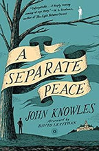 Load image into Gallery viewer, A Separate Peace Book Club Bingo Set
