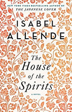 Load image into Gallery viewer, The House of the Spirits Book Club Bingo Set
