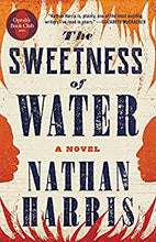 Load image into Gallery viewer, The Sweetness of Water Book Club Bingo Set
