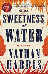 The Sweetness of Water Book Club Bingo Set